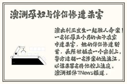 麻花星空视频